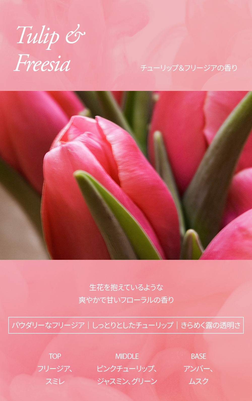 【10セット限定】ラヴアのピンク尽くしセット～チューリップ＆フリージアの香り～